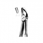 Extracting Forceps English Patern